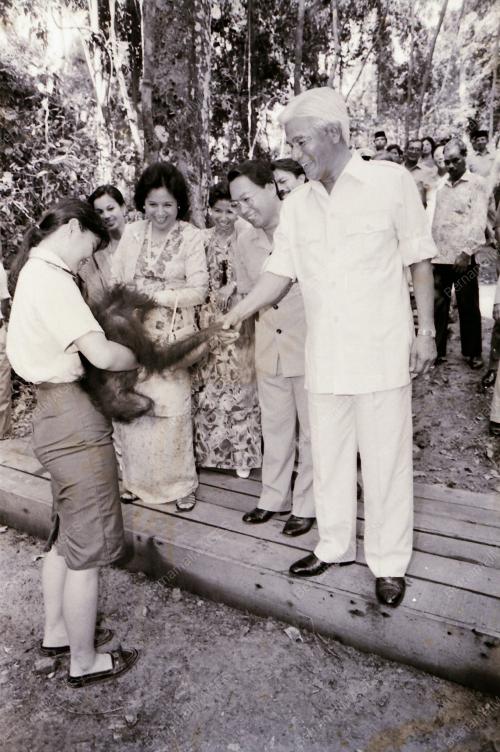 YANG DI-PERTUAN AGONG