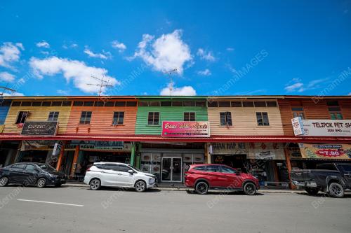 KAYU_PEKAN