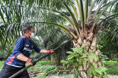 HUTANG_PENEROKA