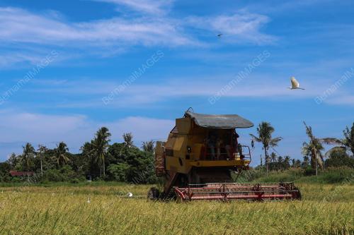 SMART SAWAH BERSKALA BESAR