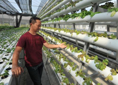 LABUAN FARMSHOP