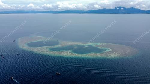 BLUE RING HOLE