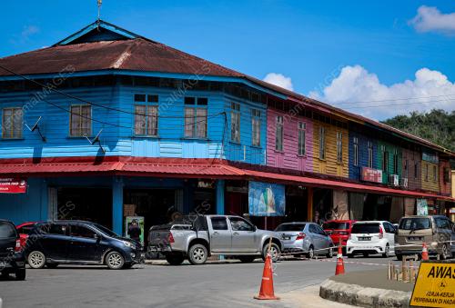 KAYU_PEKAN