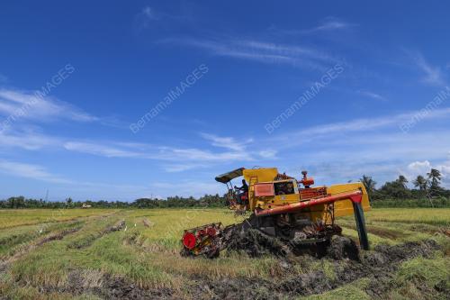 SMART SAWAH BERSKALA BESAR