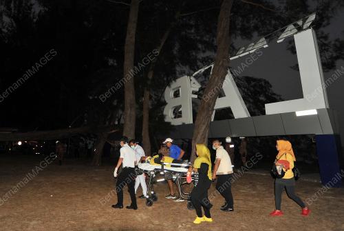 UPROOTED TREE WOMEN INJURED