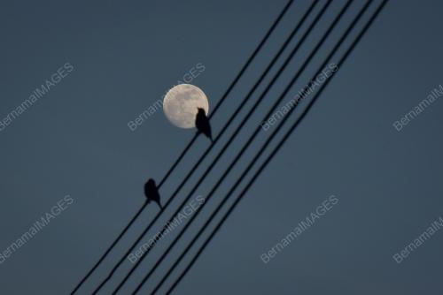 BULAN_PENUH