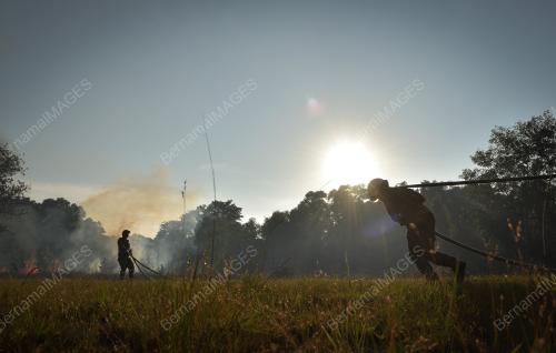 KEBAKARAN HUTAN