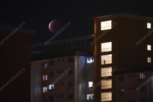 GERHAN SUPER FLOWER BLOOD MOON