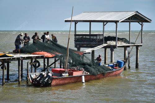 NELAYAN TEMPATAN