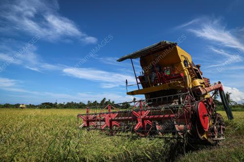 SMART SAWAH BERSKALA BESAR