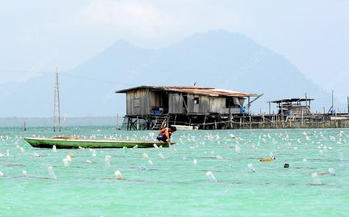 SB13_22032013_BAJAU