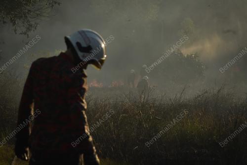 KEBAKARAN HUTAN