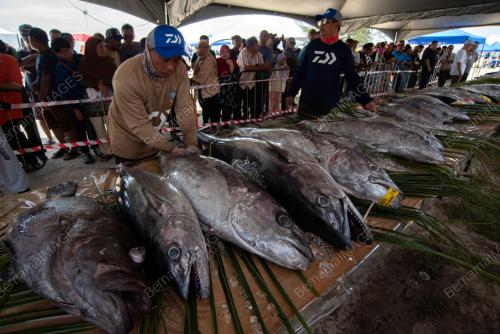 CABARAN DAIWA DEEP FISHING - LISC