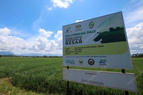 SMART SAWAH BERSKALA BESAR