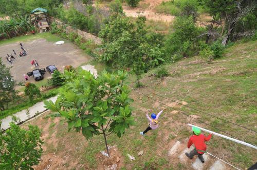 SB15_02092019_SEMUT