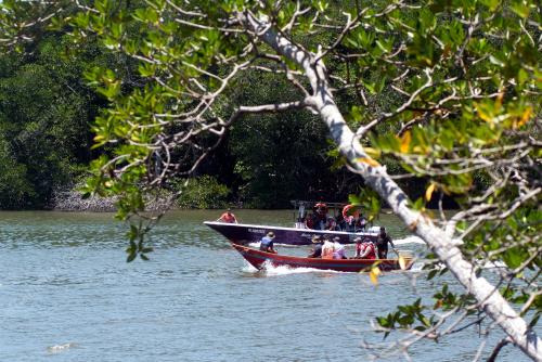 HUTAN SIMPAN KINA BENUWA