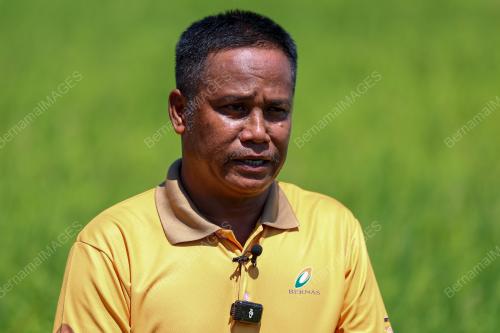 SMART SAWAH BERSKALA BESAR