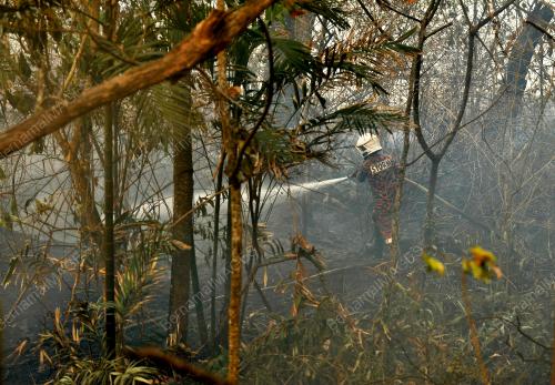 KEBAKARAN HUTAN