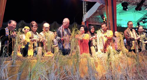 SB18_16062012_MENUAI_PADI