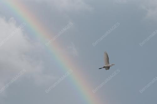 PELANGI MONSUN