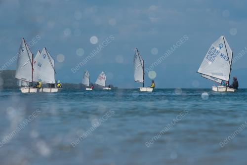 REGATTA PERAHU LAYAR LISC 2024