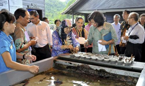 SB19_28012015_ASIAN_PULAU