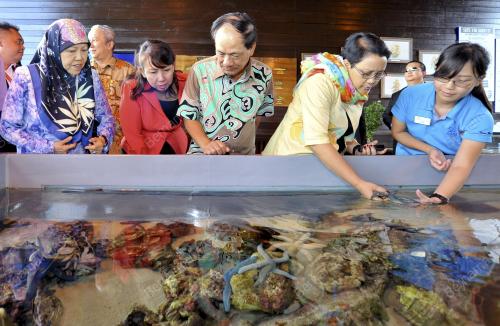 SB20_28012015_ASIAN_PULAU