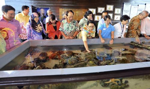 SB21_28012015_ASIAN_PULAU