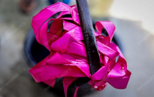 TUDUNG_DUANG