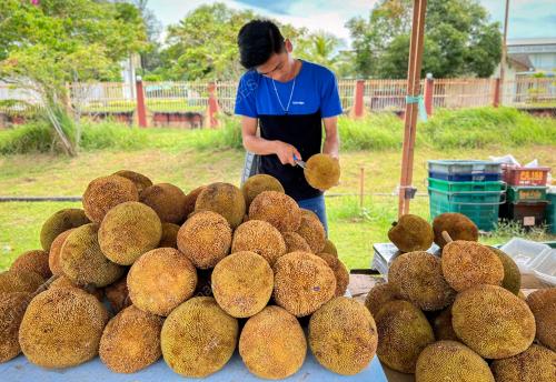 TARAP BUAH EKSOTIK