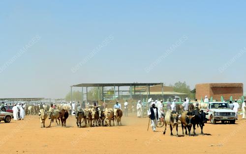 SD01_01112012_PBHH