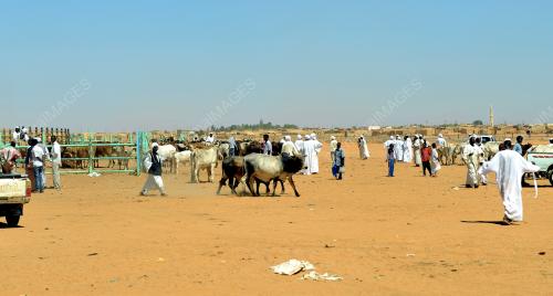 SD02_01112012_PBHH