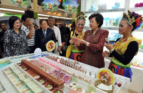 PILIHANRAYA SARAWAK KE 10