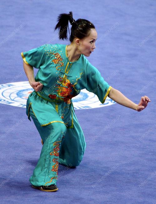 SEA01_07122013_WUSHU