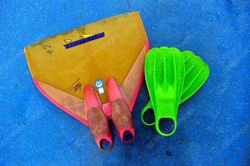 SUKAN SEA KE-31
