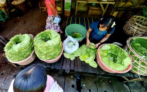 SEA06_05122013_MYOMA_MARKET