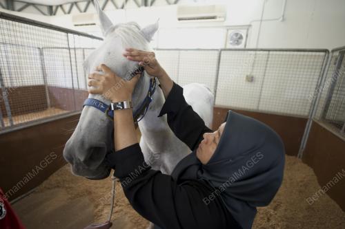 SEA06_16082017_VETERINAR
