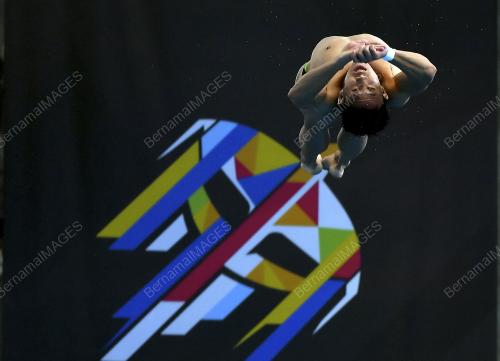 SEA128_27082017_DIVING