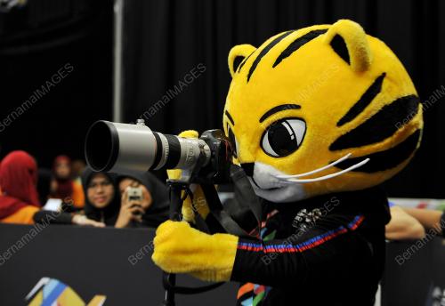 SEA133_24082017_RIMAU