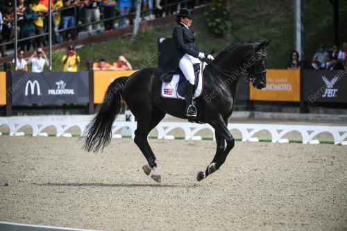 SEA43_24082017_DRESSAGE