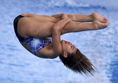 SEA43_26082017_DIVING_MEDAL