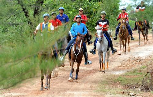 SEA52_16082017_KUDA_LATIHAN