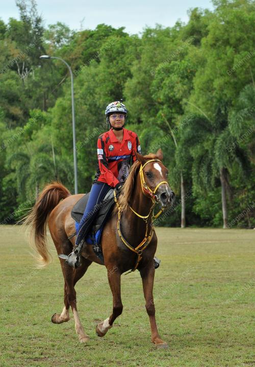 SEA54_16082017_KUDA_LATIHAN