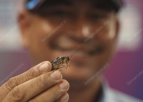 SUKAN SEA CAMBODIA 2023