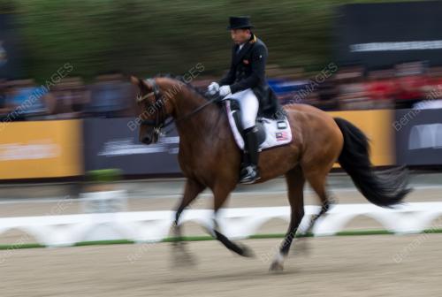 SEA56_22082017_EQUESTRIAN