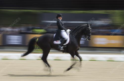 SEA61_22082017_EQUESTRIAN