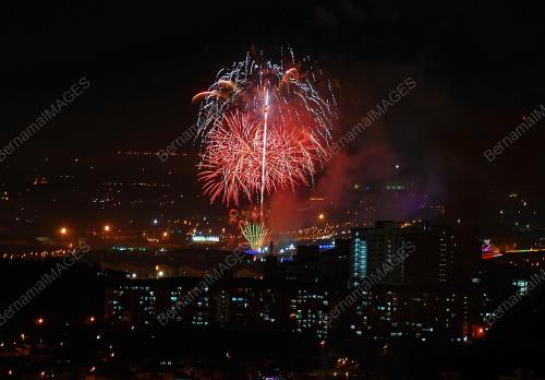 SG01_01012011_BUNGA