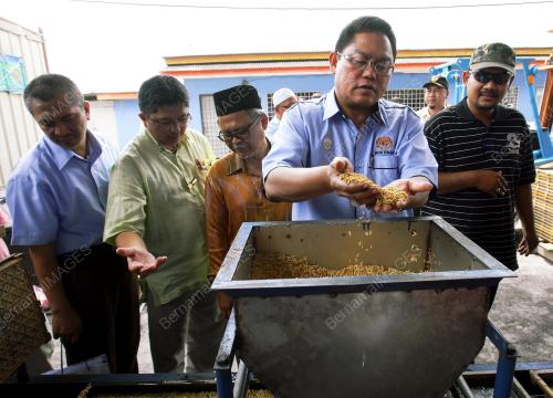 SG01_01022011_LANCAR