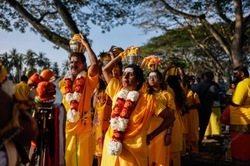 SAMBUTAN THAIPUSAM
