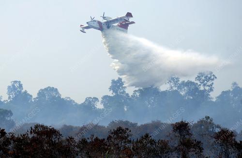 OPERASI PEMADAMAN KEBAKARAN HUTAN SIMPAN KUALA LANGAT SELATAN